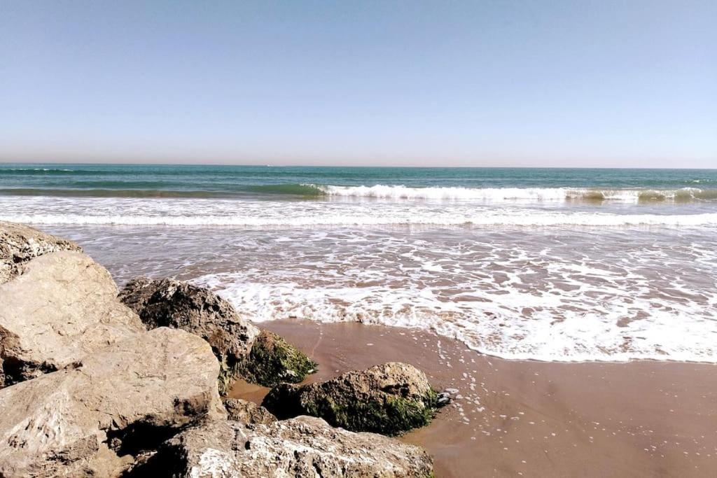 Alojamiento Junto Al Oceanografic Valensiya Dış mekan fotoğraf